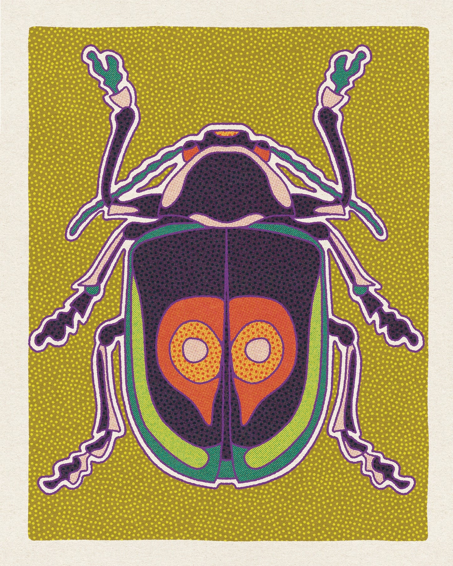 Desert Beetle Postcard Pack