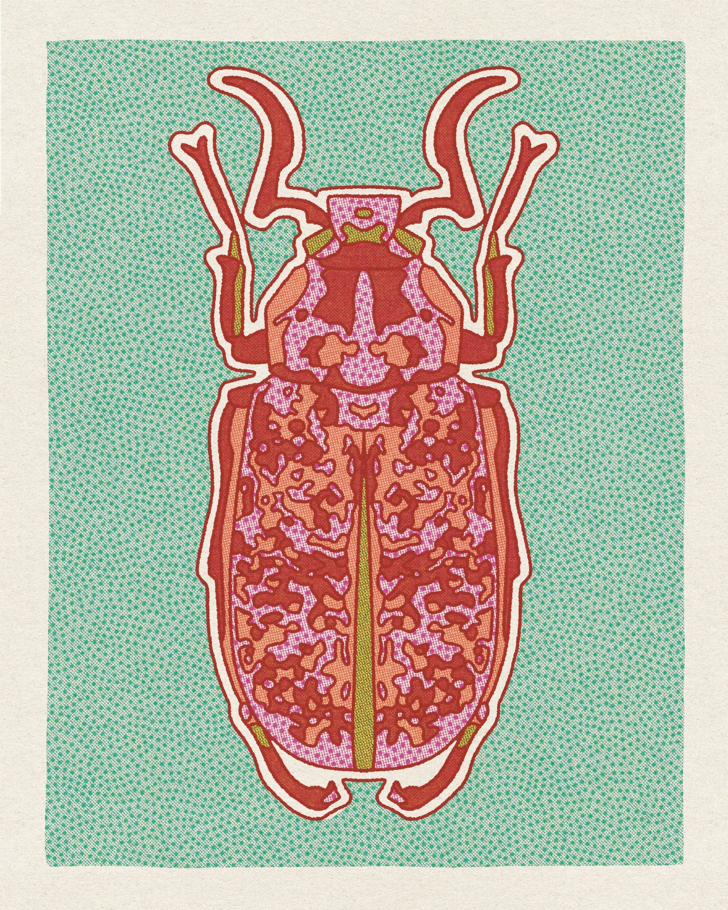 Desert Beetle Postcard Pack