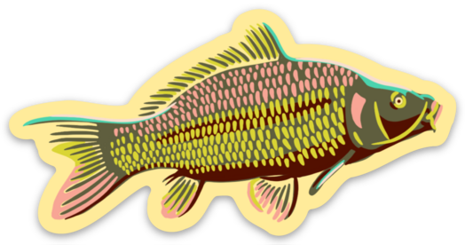 Carp Sticker