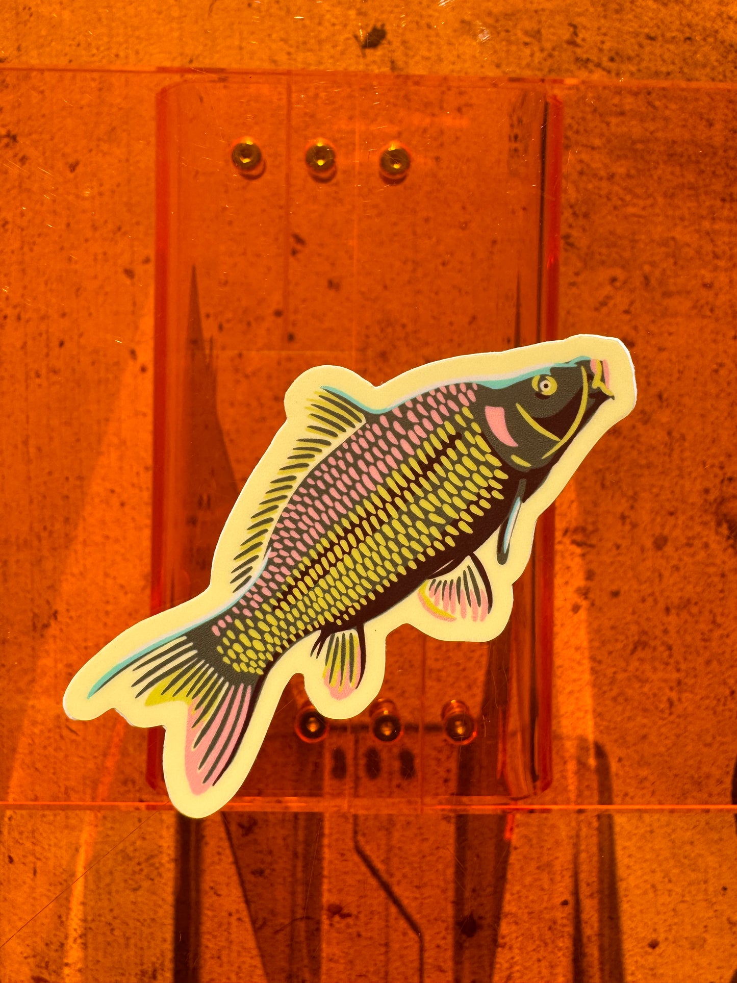 Carp Sticker