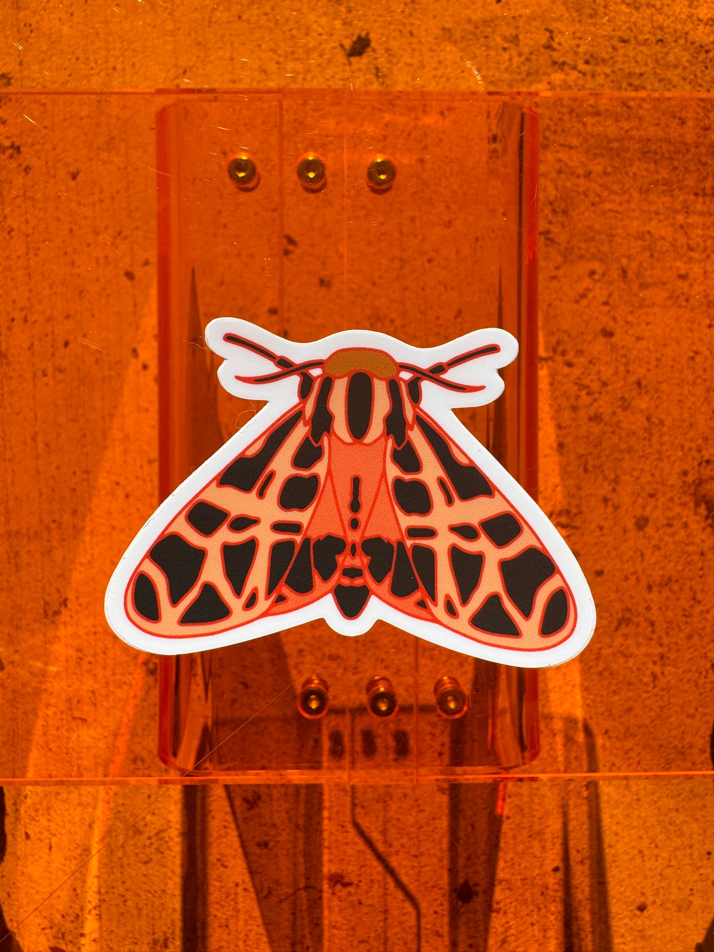 Tiger Moth Sticker