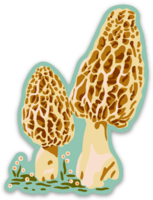 Morel Mushroom Sticker