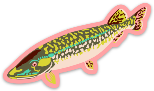 Northern Pike Sticker