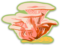 Pink Oyster Mushroom Sticker