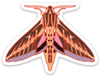 Sphynx Moth Sticker