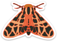 Tiger Moth Sticker