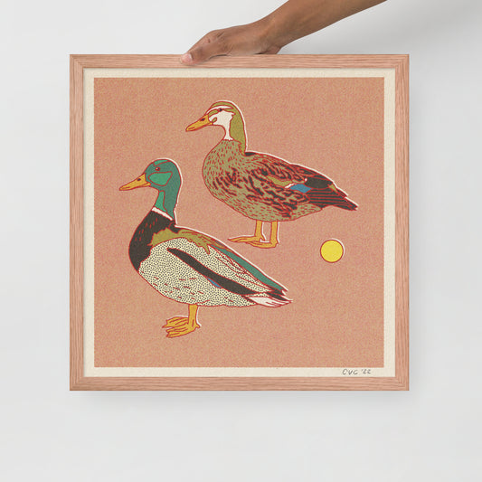 Ducks Framed Print