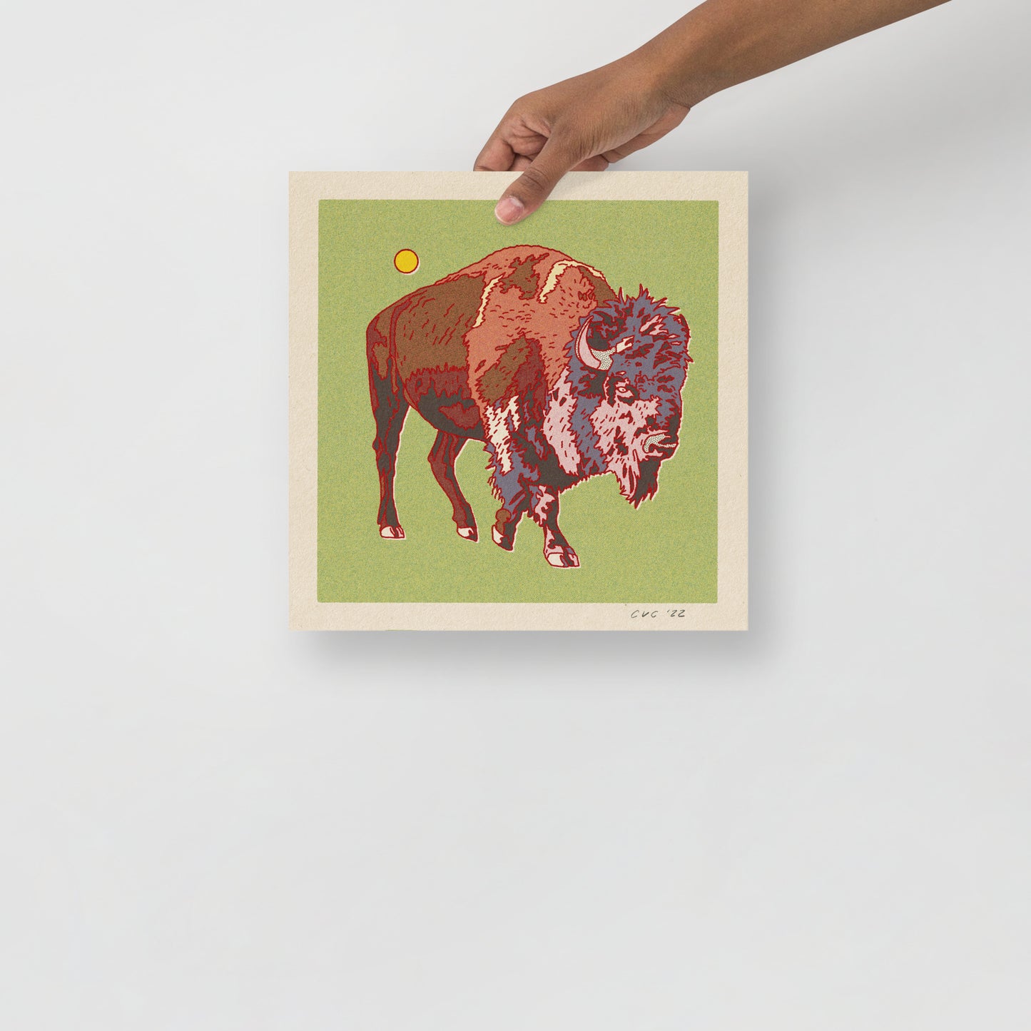 Bison Buffalo Print