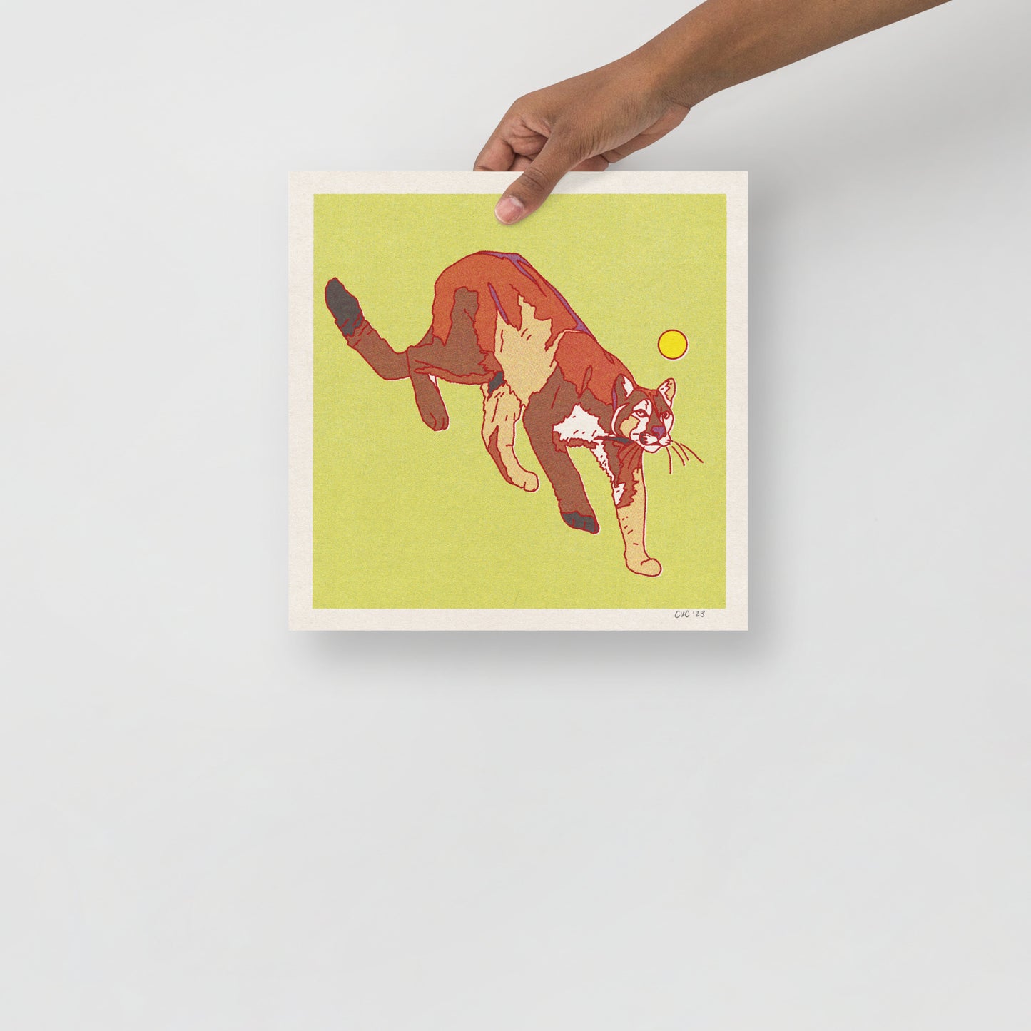 Mountain Lion Print