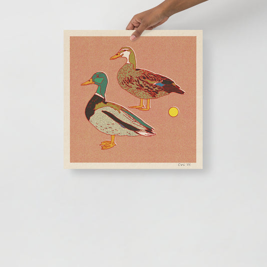 Ducks Print