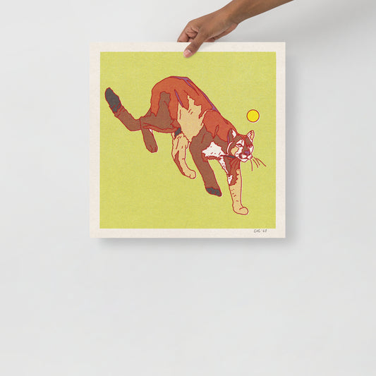 Mountain Lion Print